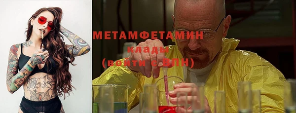 индика Бородино