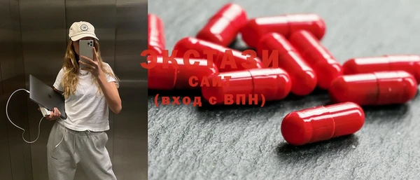индика Бородино