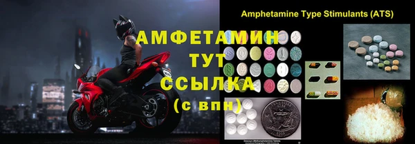 индика Бородино