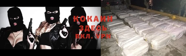 индика Бородино