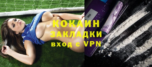 индика Бородино