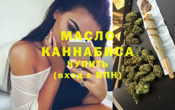 индика Бородино