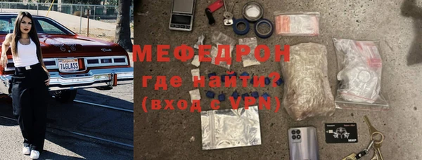 индика Бородино