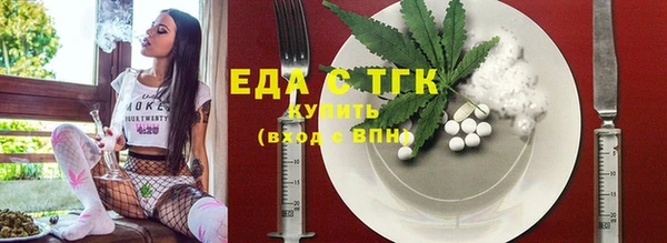 индика Бородино