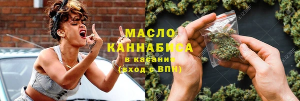 индика Бородино