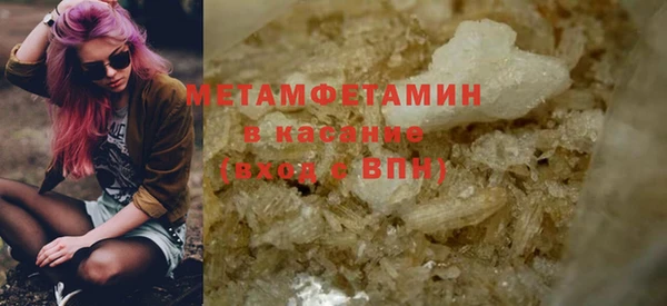 индика Бородино