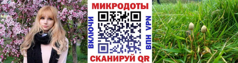 что такое   Смоленск  блэк спрут ССЫЛКА  Псилоцибиновые грибы мицелий 